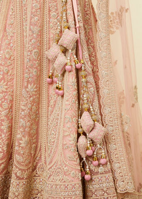 alt message - Mohey Women Light Pink Imperial Paisley Patterned Lehenga image number 3